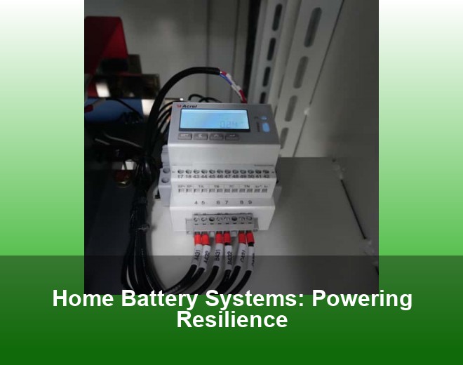 Home Battery Systems: Powering Resilience